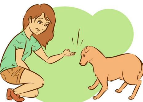 如何让陌生的狗狗喜欢自己,如何让刚到家的狗狗和自己亲近