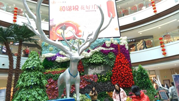 努比亚z9mini体验评测,努比亚z9测评