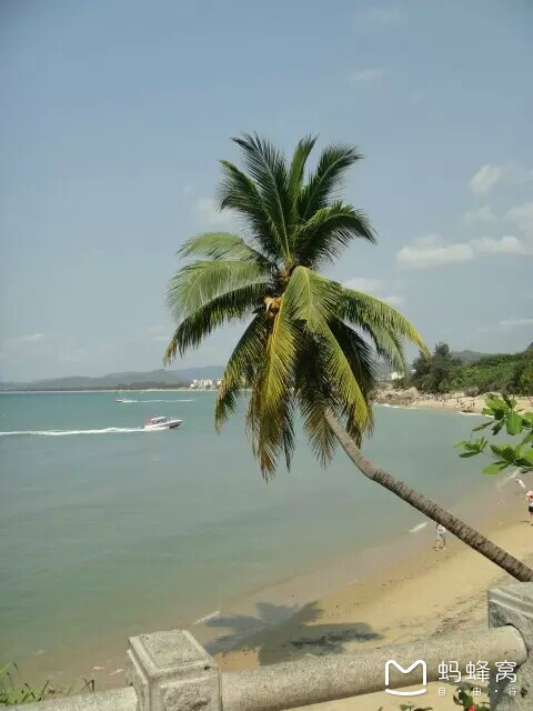 冬季的海南浪漫的三亚之美,冬季畅游三亚感受海南的椰风海韵