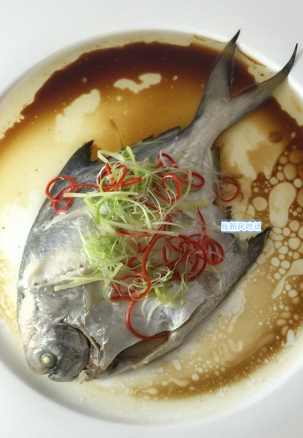 唐朝人为什么要将鲳鱼称为“狗瞌睡鱼”？六种鲳鱼你认识几种？