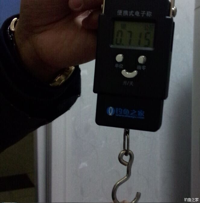 春天钓鲫鱼,春天钓黑坑新鱼