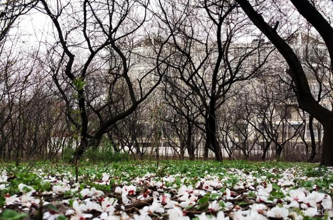 小米4s试驾,小米4S测评