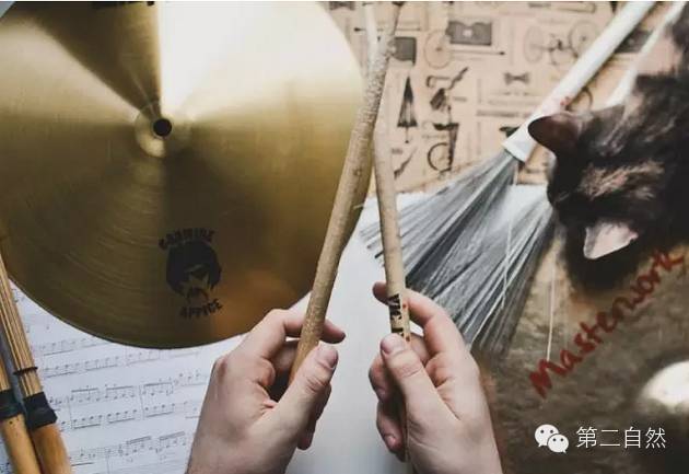 乌克兰大叔和他美到令人窒息的陶瓷永生花