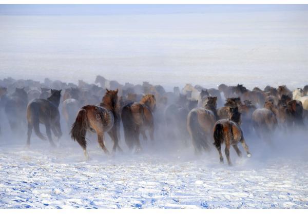 牧马少年歌曲完整版,牧马少年草原