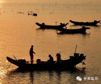 秦皇岛海鲜不重样,秦皇岛海鲜推荐