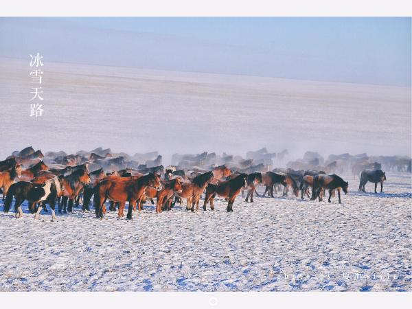 牧马少年歌曲完整版,牧马少年草原