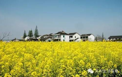 相城区高铁新城在建项目,相城高铁新城扩建