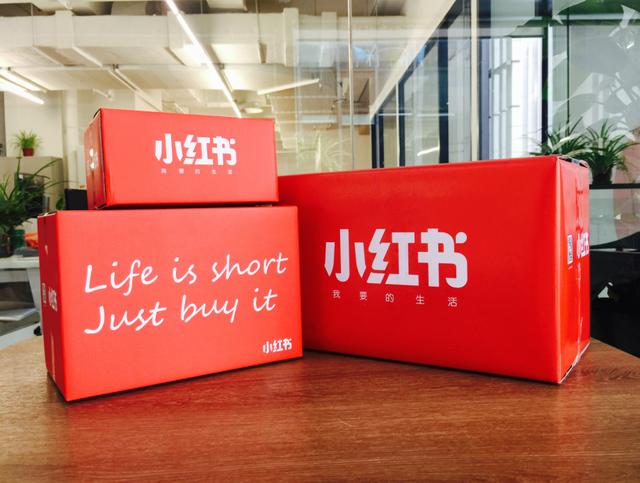 现在最爆款的小红书是什么 (小红书的手工兔子书)