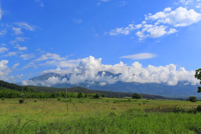玫瑰美容护肤技巧,玫瑰护肤护理小知识