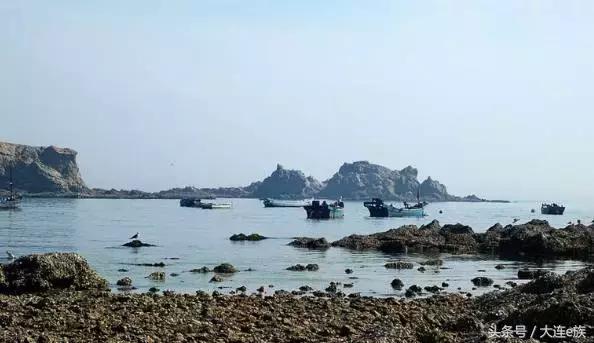 大连最美的海边渔村,大连最美渔村是哪里