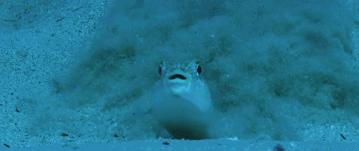 豆瓣9.7的冷门好片，送给每个热爱生命的人