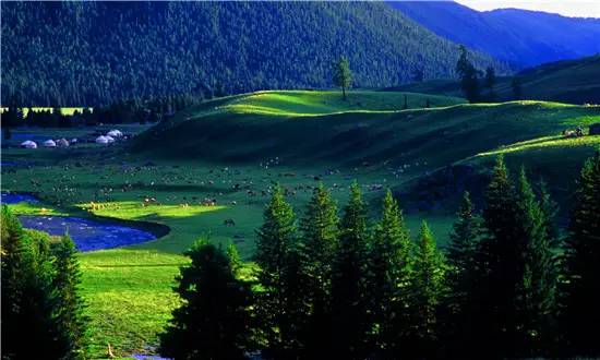 多彩阿勒泰哈巴河,多彩新疆阿勒泰禾木村