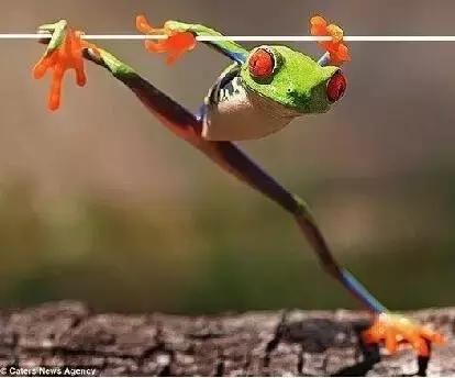 豆瓣9.7的冷门好片，送给每个热爱生命的人