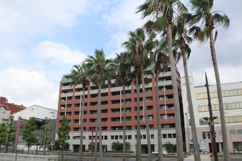 天海邮轮海上豪华之旅,天海豪华邮轮