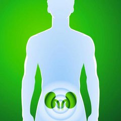 最全伤肾中药名单,看到哪些你会中枪呢?