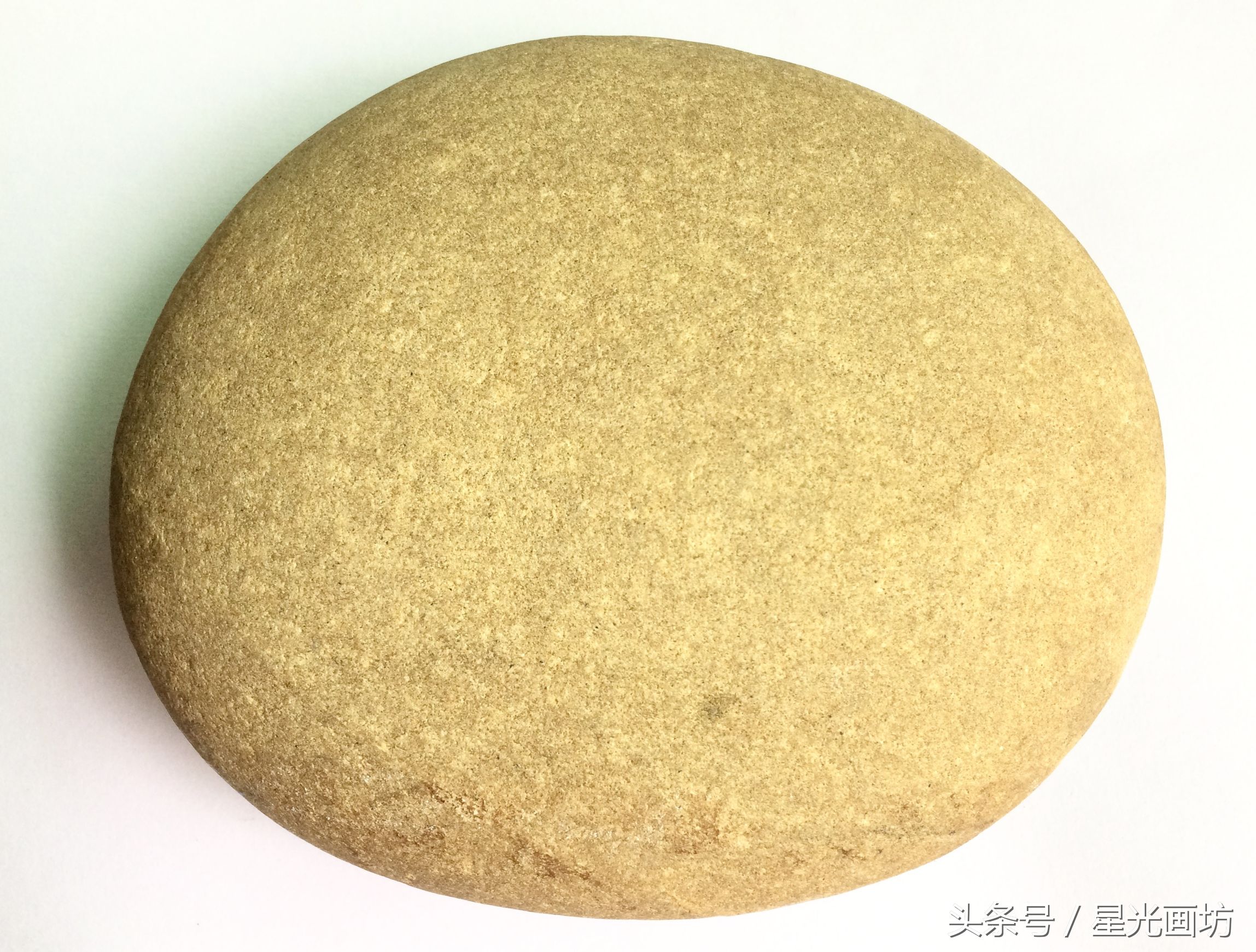 石头上画乌龟教程,龟石头画教程