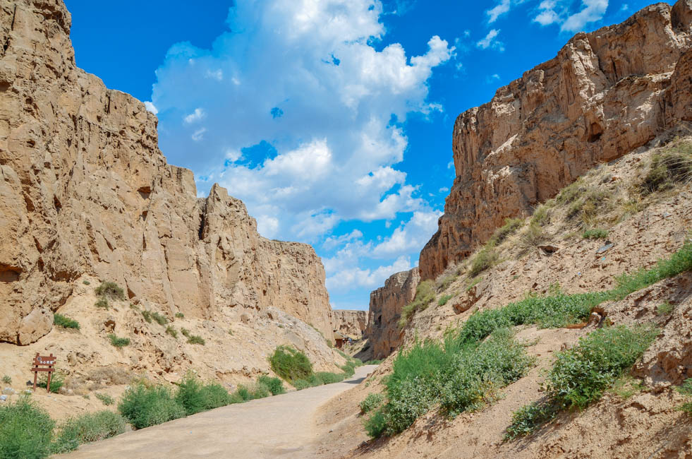 宁夏沙坡头水洞沟,宁夏水洞沟游