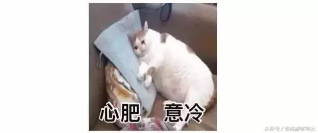 香港必买的十种日用品,去香港必买的十款产品