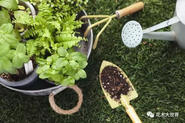 全球园林机械市场,园林工具市场前景如何