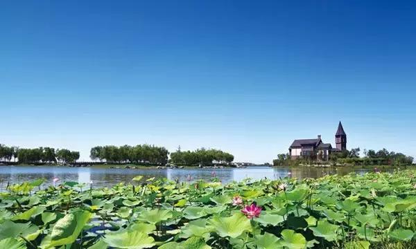 说走就走跟着抖音去旅行,说走就走出发视频