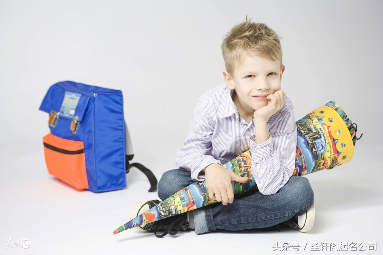 姓林鸡年男孩名字大全,鸡年带诗字男孩名字