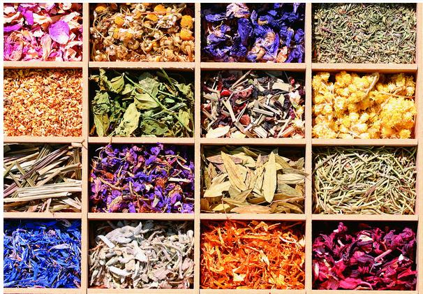 生猪常见病及治疗方法,生猪病症诊断及治疗