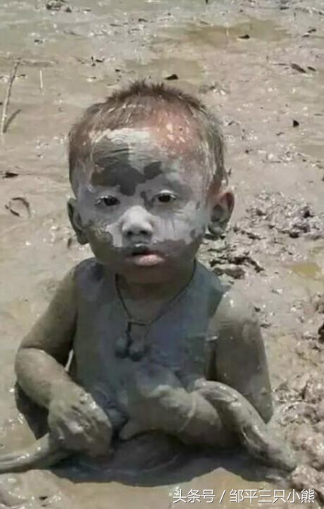 孩子成长感悟和心得,孩子成长的感悟作文