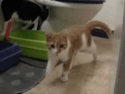 每日小笑话段子,每日小段子大全