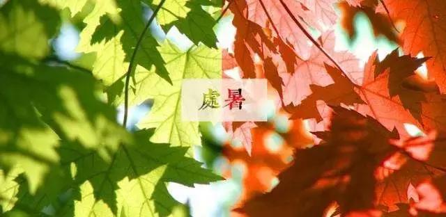 夏未央秋渐凉处暑,处暑夏未央秋意渐浓天渐凉