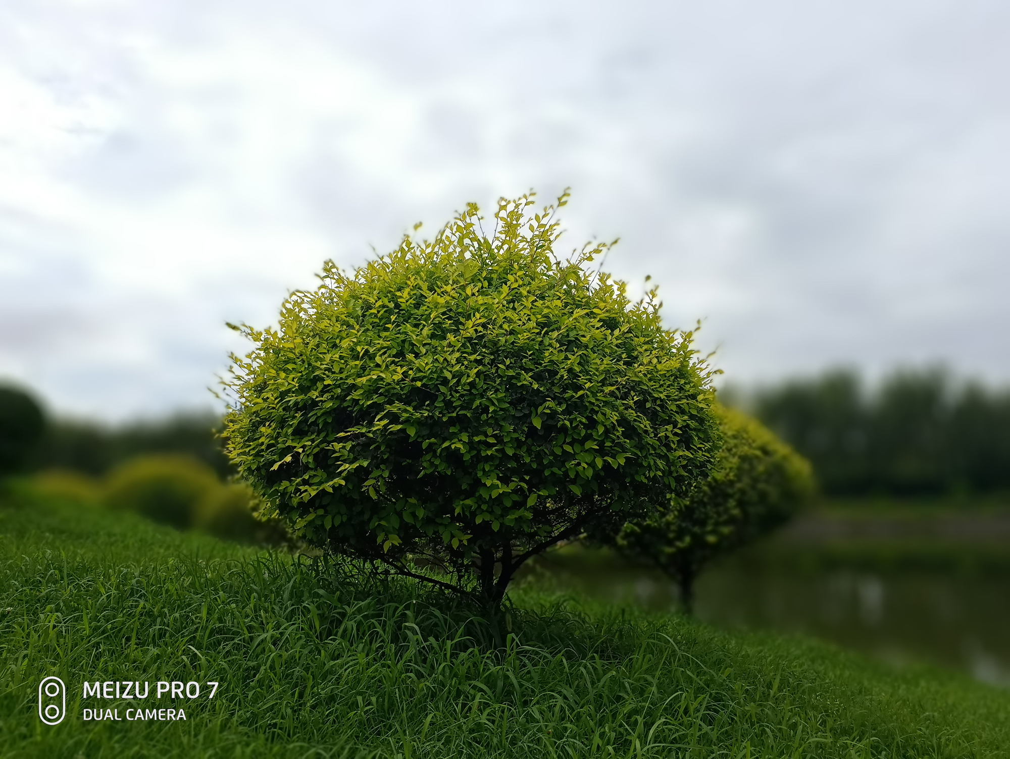 魅族pro7的优缺点,给被黑惨的魅族pro7正名大实话