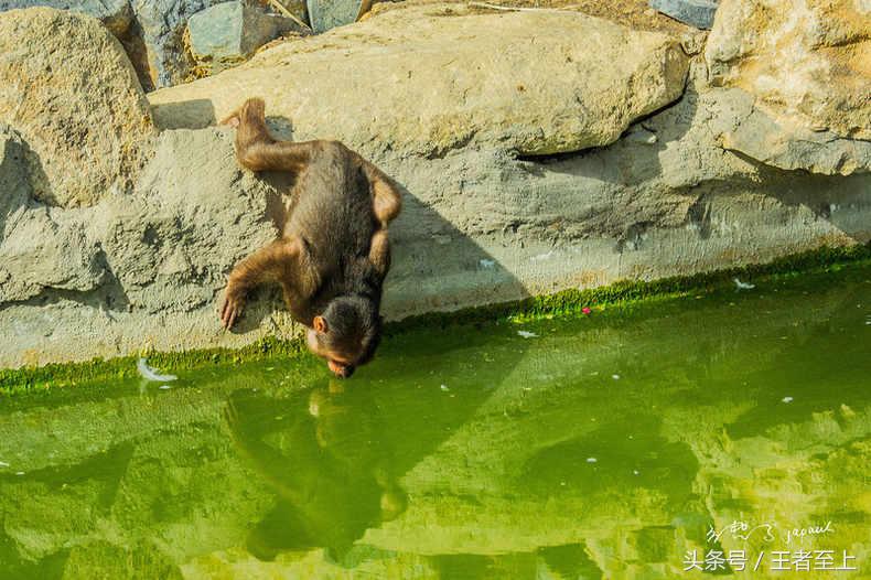 越南最美山庄,越南最美的桃源