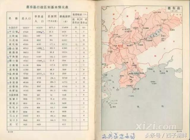 惠东金门,惠东金门镇