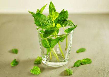 孩子咽颊炎反复发烧怎么办,疱疹性咽峡炎反复发烧39怎么办