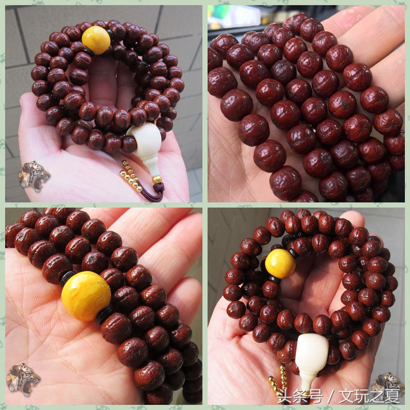 最全凤眼菩提知识,老司机解说文玩核桃