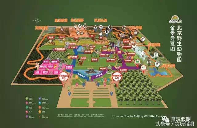 长隆野生动物园旅游攻略4天3晚,广州长隆两天一晚酒店攻略