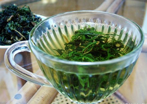 胆囊炎最怕一种野菜,农村什么野菜能去胆囊炎