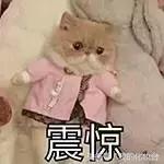 美瞳带反了会不会眼瞎,美瞳戴上去真的可以看得清楚