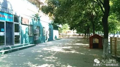 北京适合亲子阅读的图书馆,北京带孩子去哪家图书馆