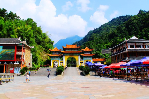 天天有人去山上采蘑菇,每天来观看的游客上万人