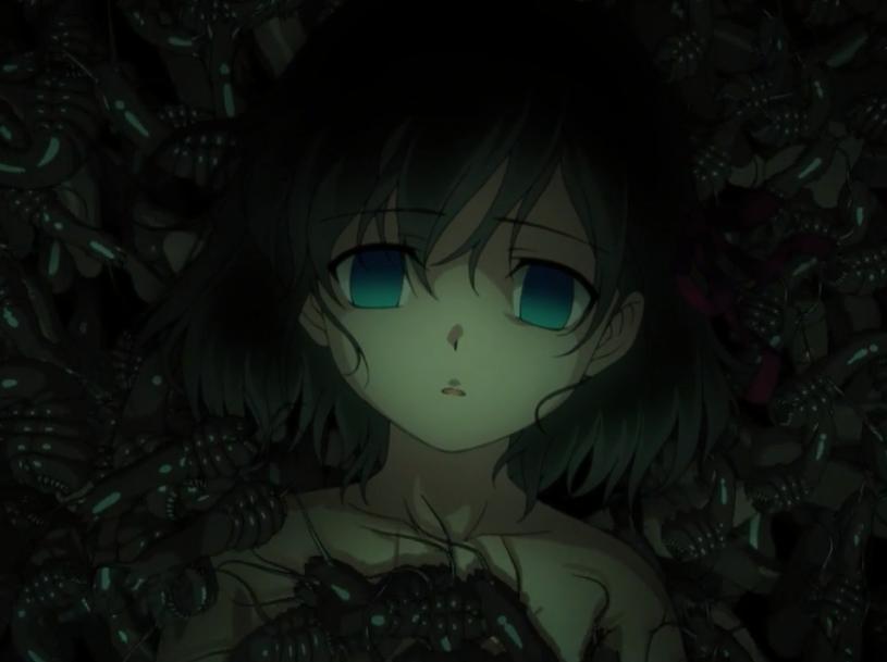 fatezero什么意思,fatezero御主战力排行