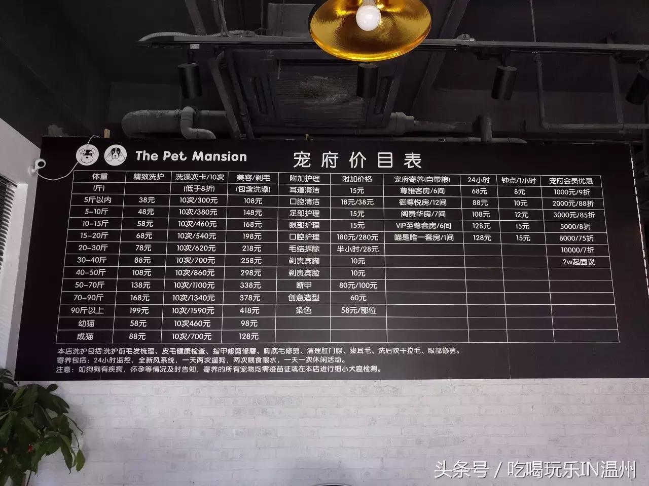 爱狗如命的女孩是什么心理,爱狗如命的女主角