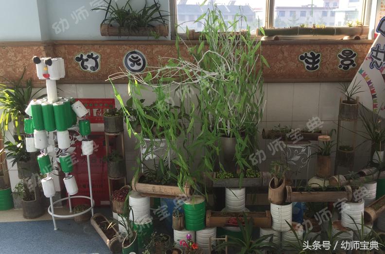 自然角创设分布图,自然角布置幼儿园
