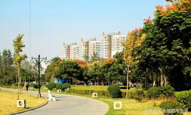 河南永城的最大优点,河南永城之美