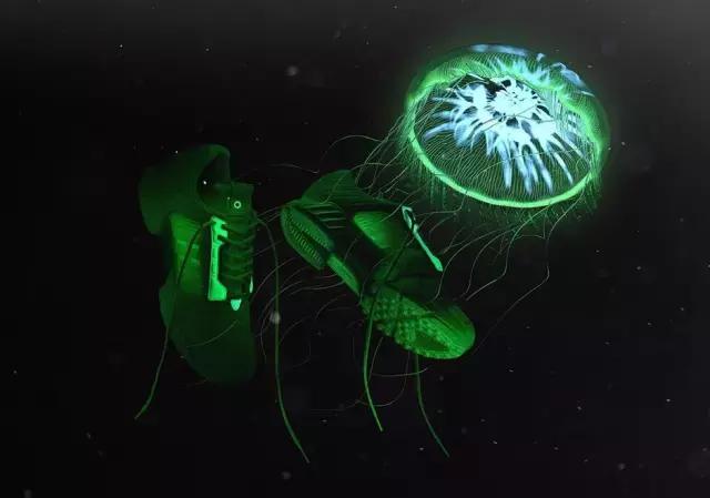 本周球鞋上脚欣赏,哪里可以关注球鞋最新资讯