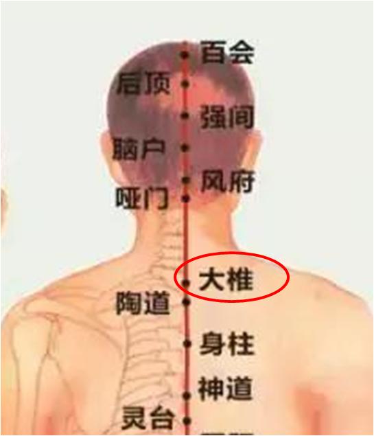 艾灸必须找准穴位吗,男性艾灸减肥最快的穴位