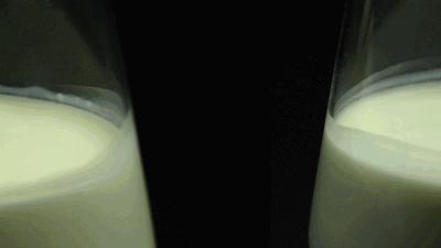 动物性淡奶油哪个牌子好,动物性奶油推荐