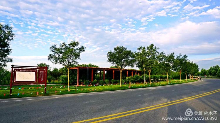 一花一叶总关情，一辆单车游古城，美哉正定！