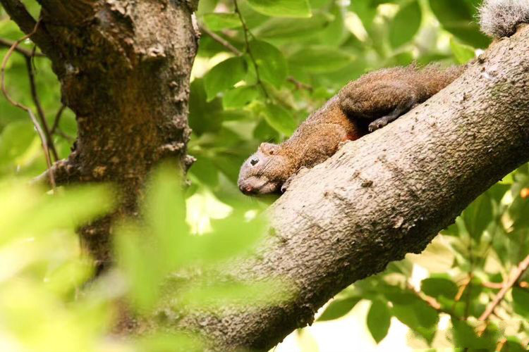 世界因你而美好原唱,世界因你而美好