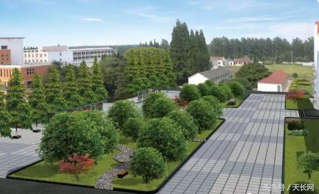 承载梦想，天长博世致家长和同学们的一封信