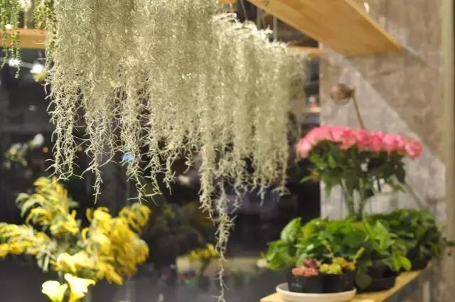 七夕第一次去花店买花应该怎么做,花店七夕节怎么卖花